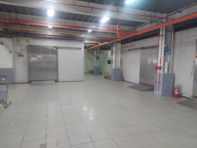 新莊廠房-0