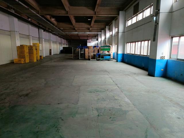新北廠房-0