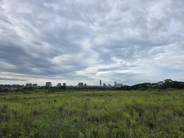 新北林口工業地-0